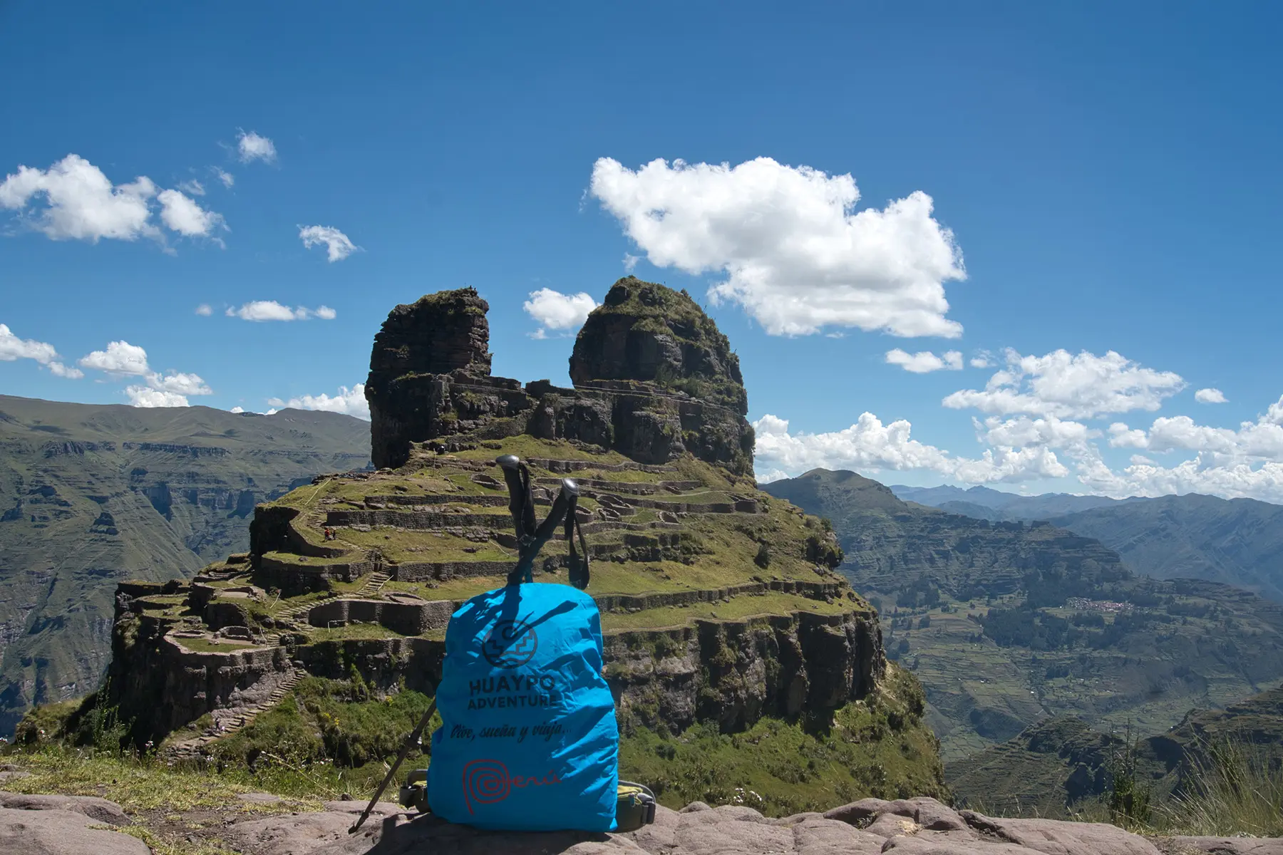 Terms and Conditions